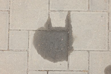 Photo of Stains of motor oil on road outdoors, top view