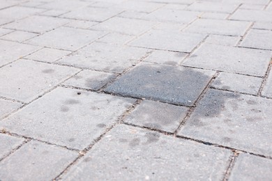 Photo of Stains of motor oil on road outdoors, closeup