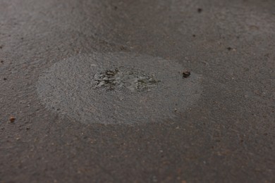 Photo of Stain of motor oil on asphalt, closeup view