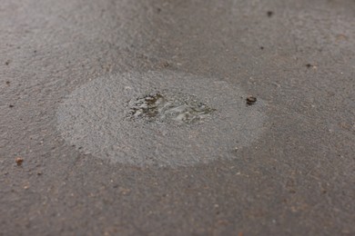 Photo of Stain of motor oil on asphalt, closeup view