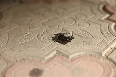 Photo of Stain of motor oil on road outdoors, closeup