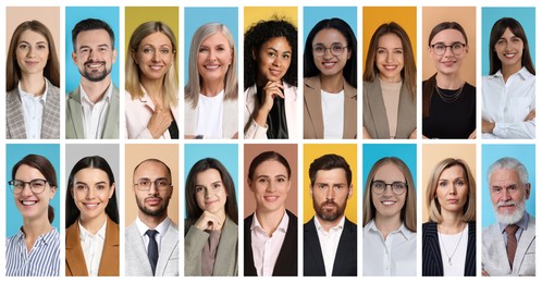 Image of Many different business people, collage of portraits on color backgrounds