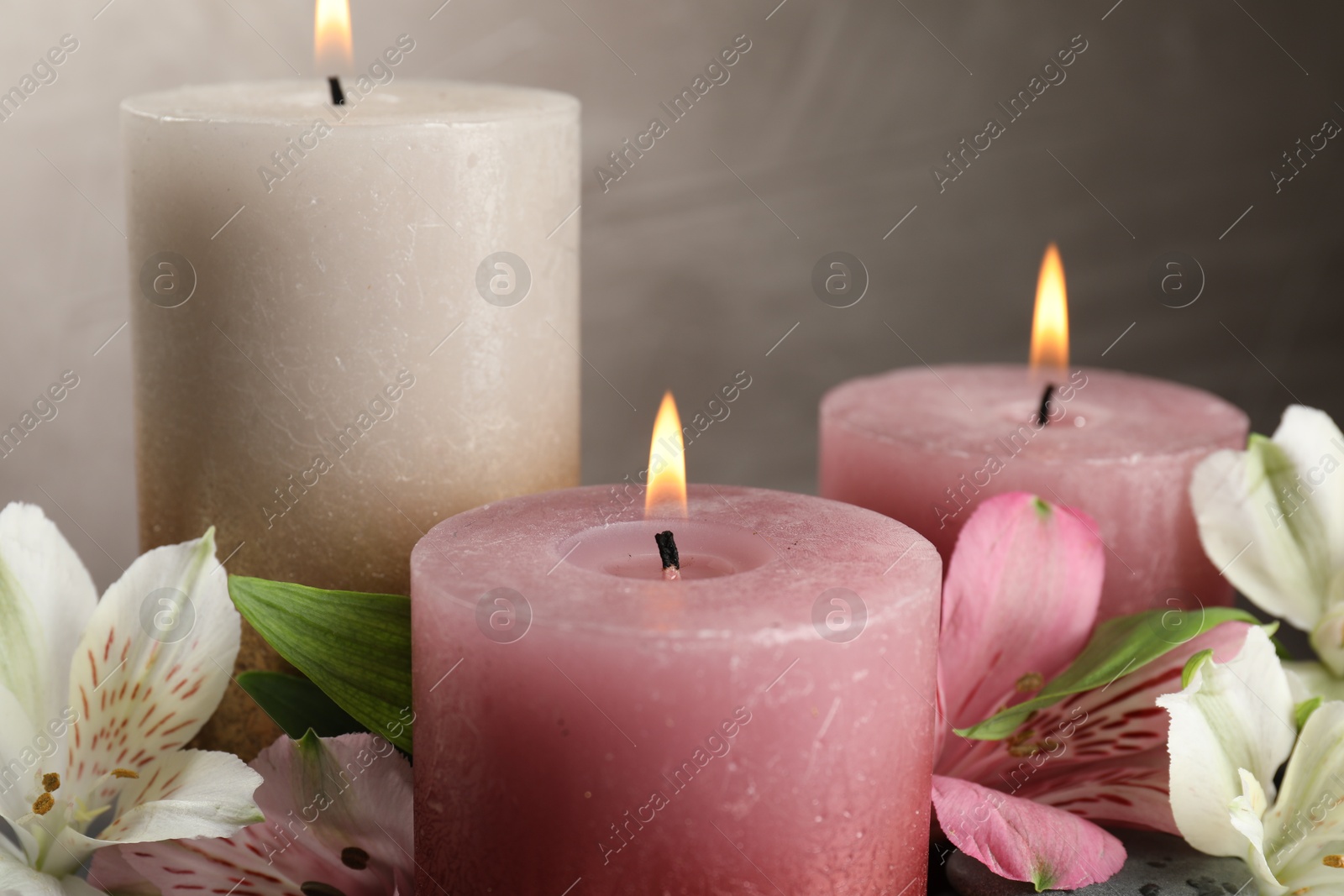 Burning candles and beautiful flowers against light background, closeup Photo of Burning candles and beautiful flowers against light background, closeup
