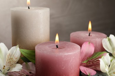 Photo of Burning candles and beautiful flowers against light background, closeup