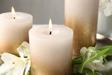 Photo of Burning candles and beautiful flowers against light background, closeup