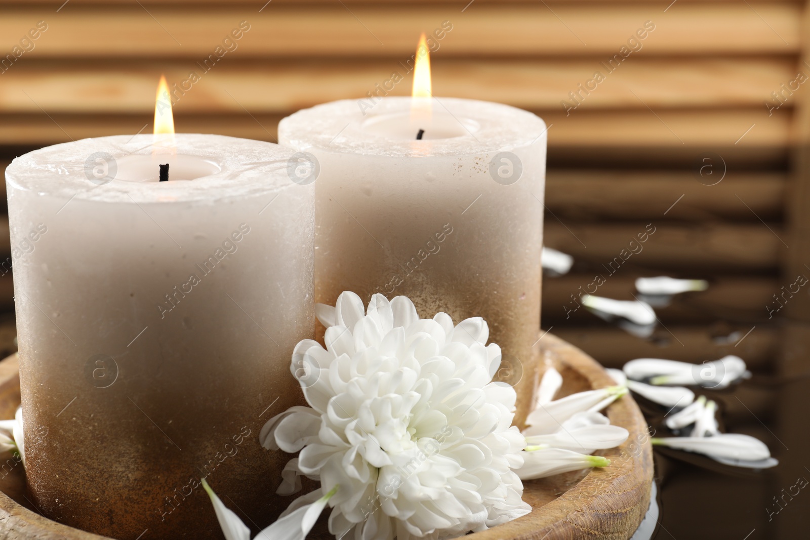 Photo of Burning candles and beautiful flowers on wet black mirror surface, closeup