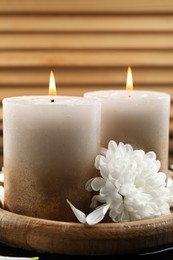 Photo of Burning candles and beautiful flowers on black table, closeup