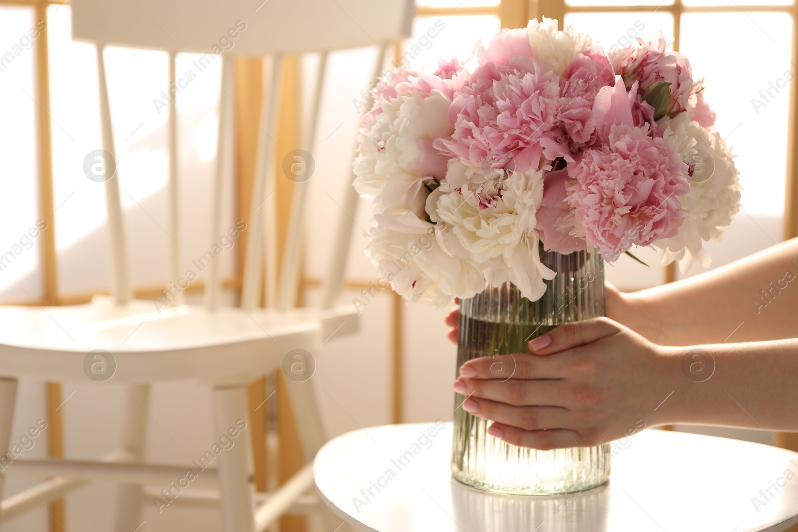Woman putting beautiful peonies into vase at white table indoors, closeup. Space for text Photo of Woman putting beautiful peonies into vase at white table indoors, closeup. Space for text