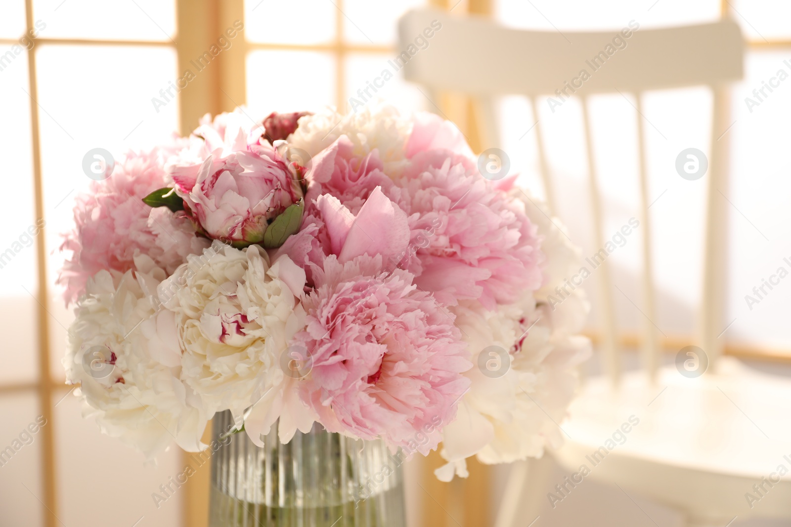 Beautiful peonies in vase indoors, closeup. Space for text Photo of Beautiful peonies in vase indoors, closeup. Space for text