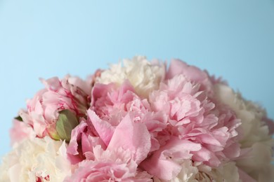 Photo of Beautiful peonies on light blue background, closeup. Space for text