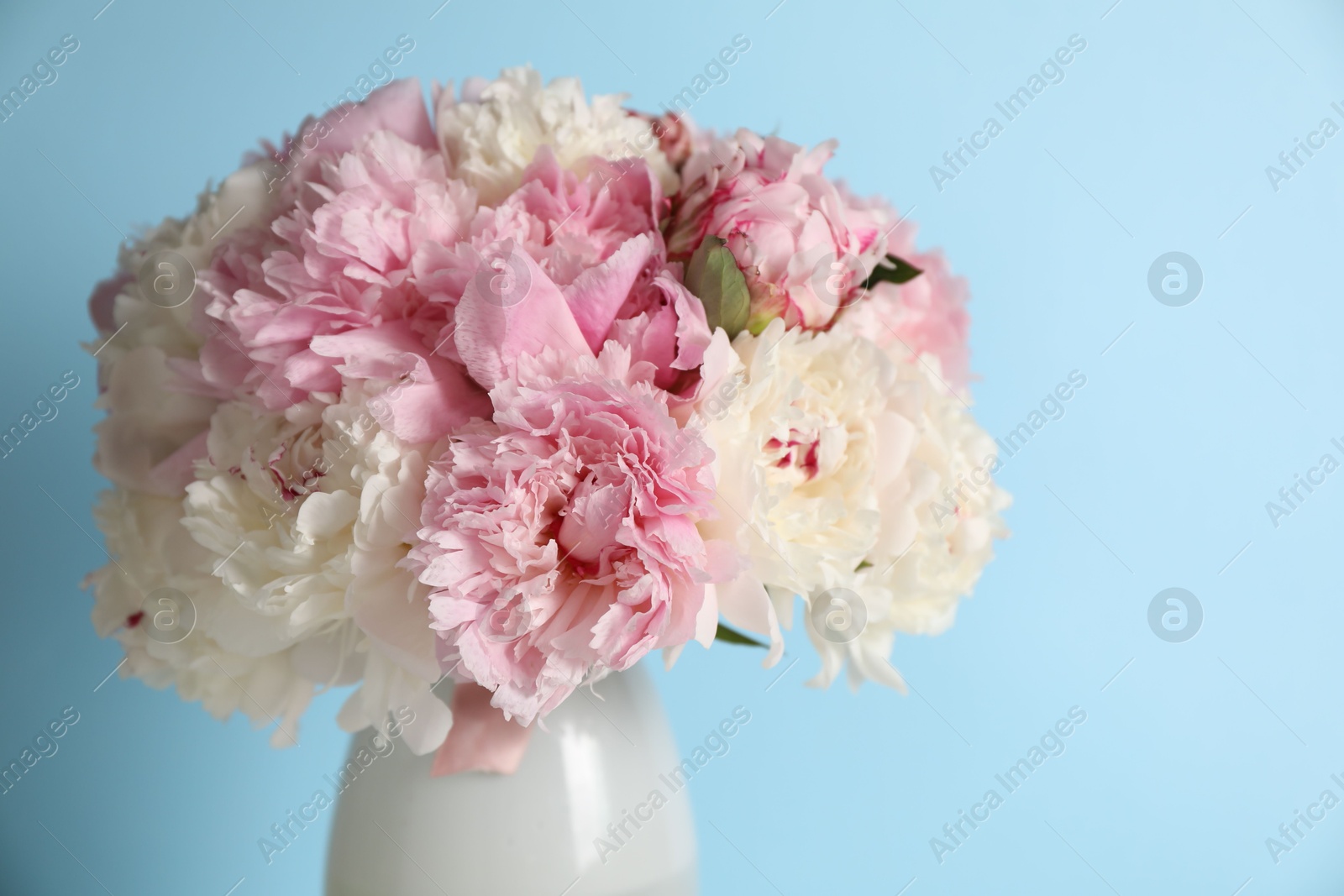 Beautiful peonies in vase on light blue background, closeup. Space for text Photo of Beautiful peonies in vase on light blue background, closeup. Space for text