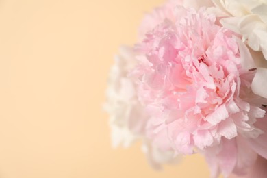 Photo of Bouquet of beautiful peonies on beige background, closeup. Space for text