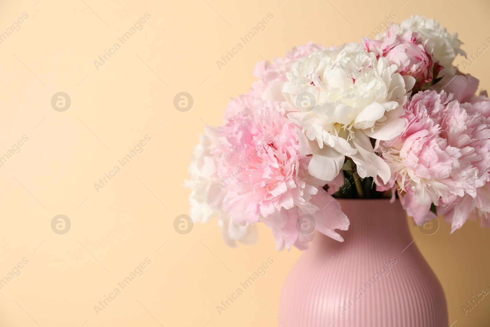 Beautiful peonies in vase on beige background, closeup. Space for text Photo of Beautiful peonies in vase on beige background, closeup. Space for text