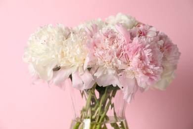 Photo of Beautiful peonies in vase on pink background, closeup