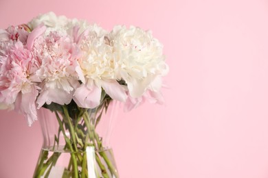 Photo of Beautiful peonies in vase on pink background, closeup. Space for text