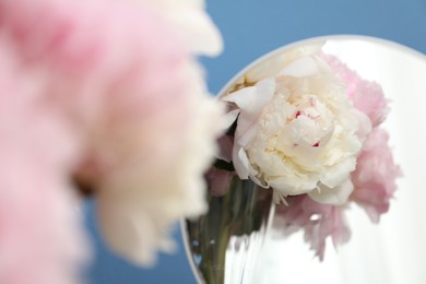 Photo of Beautiful peonies in vase and mirror on light blue background, closeup