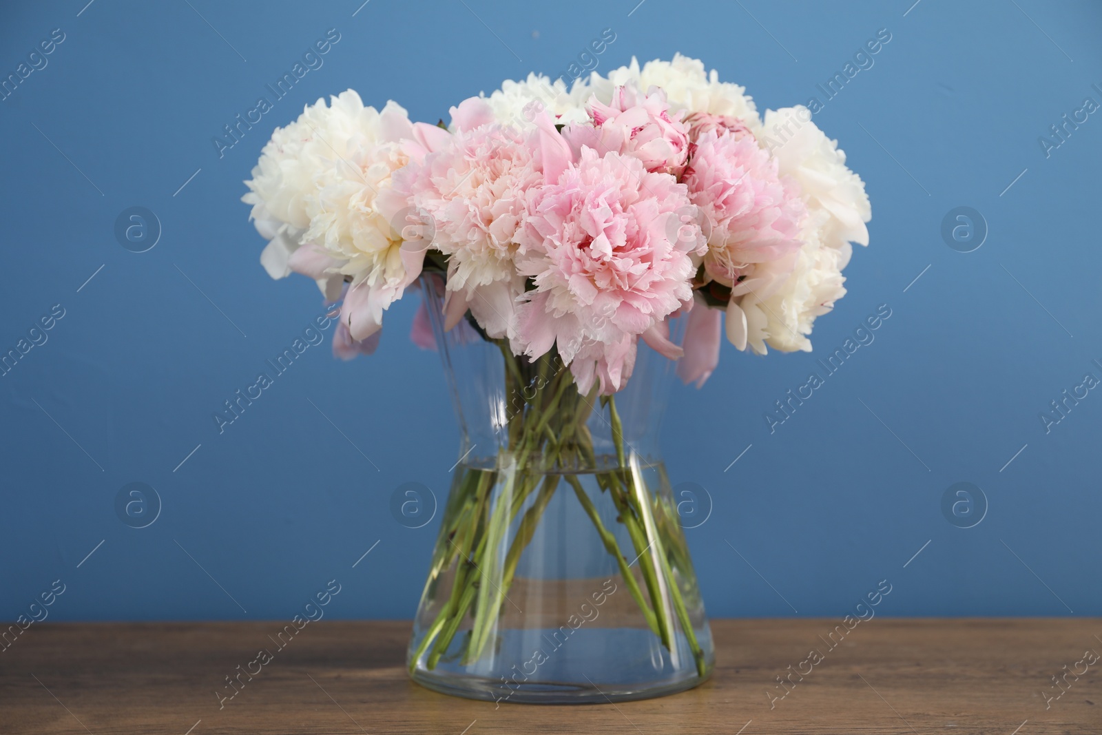 Beautiful peonies in vase on wooden table near light blue wall Photo of Beautiful peonies in vase on wooden table near light blue wall