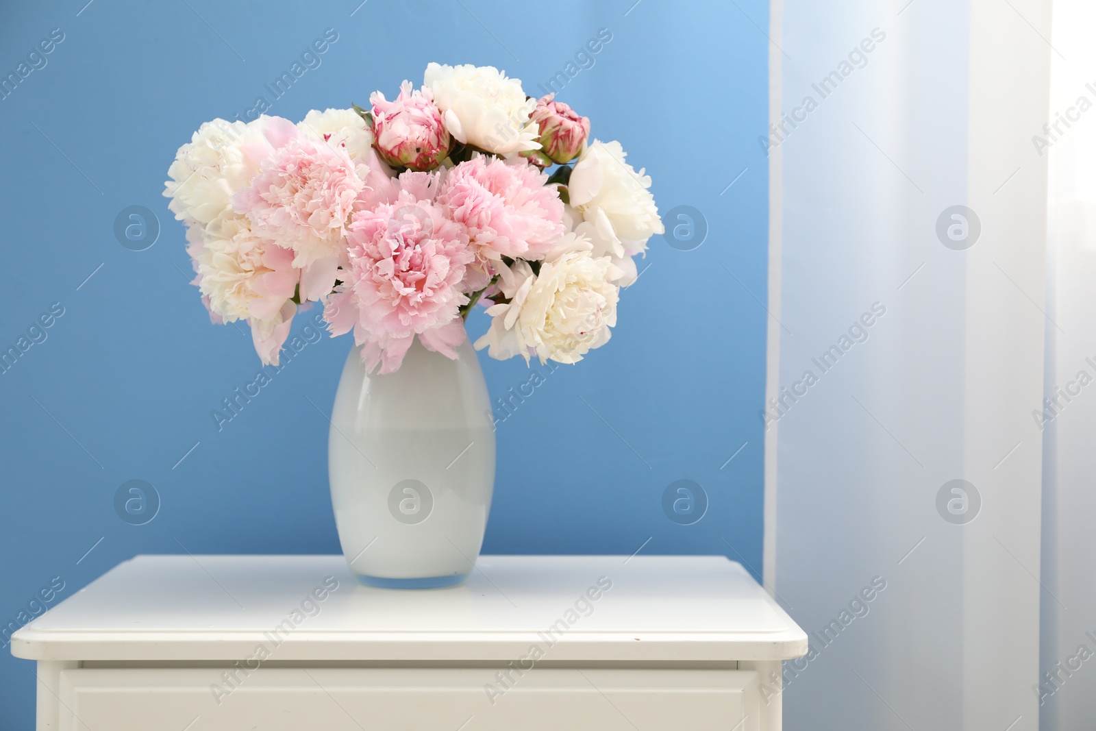 Beautiful peonies in vase on white dresser near light blue wall. Space for text Photo of Beautiful peonies in vase on white dresser near light blue wall. Space for text