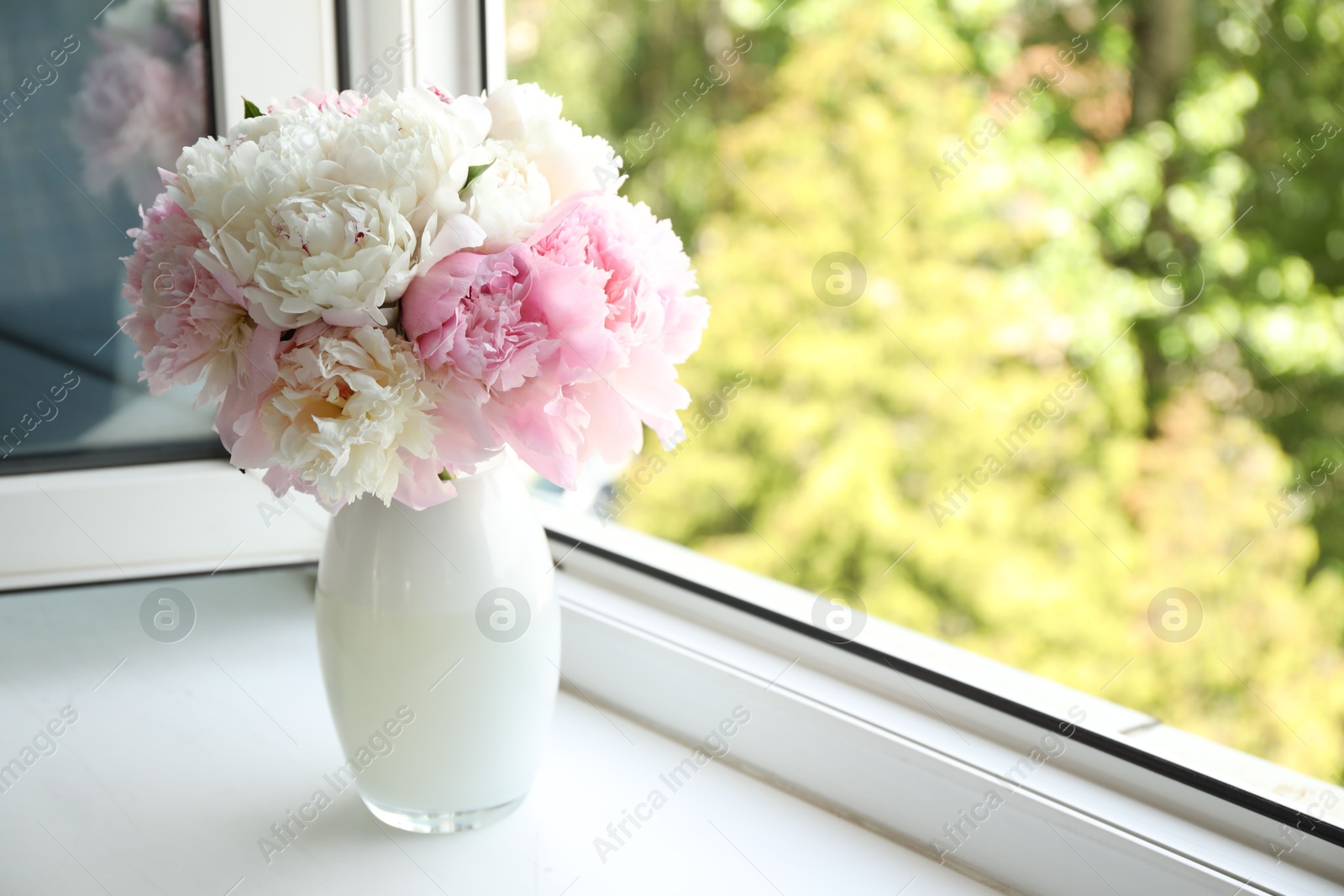 Beautiful peonies in vase on windowsill indoors. Space for text Photo of Beautiful peonies in vase on windowsill indoors. Space for text