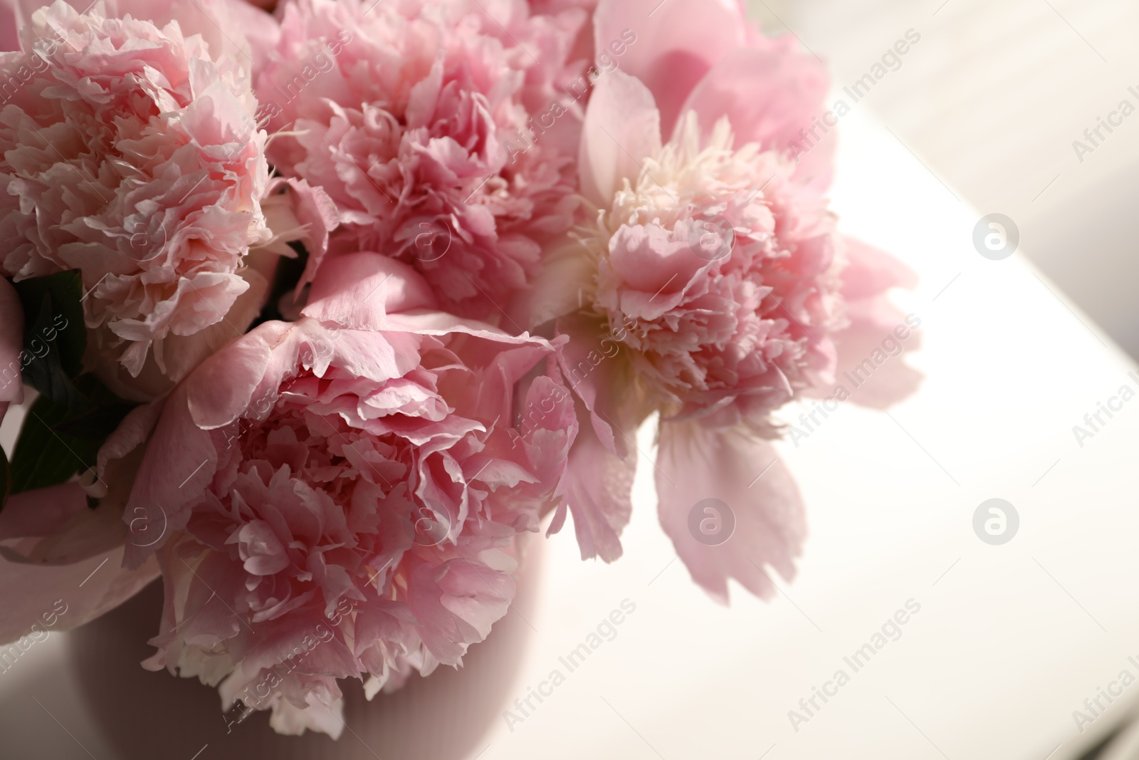 Bouquet of beautiful peonies in vase indoors, closeup Photo of Bouquet of beautiful peonies in vase indoors, closeup