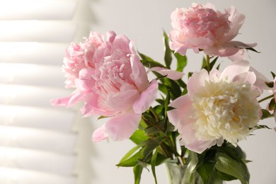 Photo of Bouquet of beautiful peonies in vase indoors, closeup