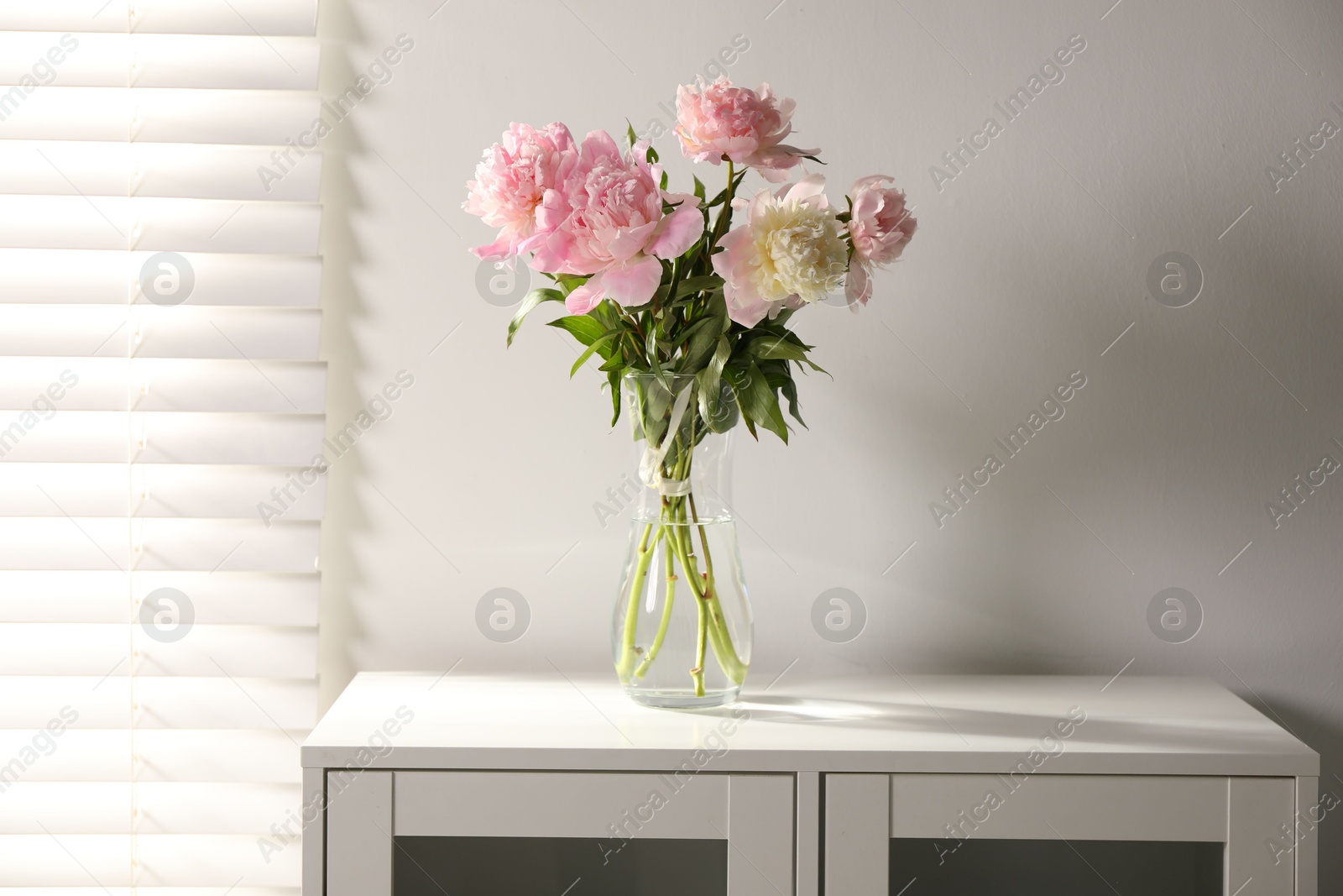Beautiful peonies in vase on white dresser indoors Photo of Beautiful peonies in vase on white dresser indoors