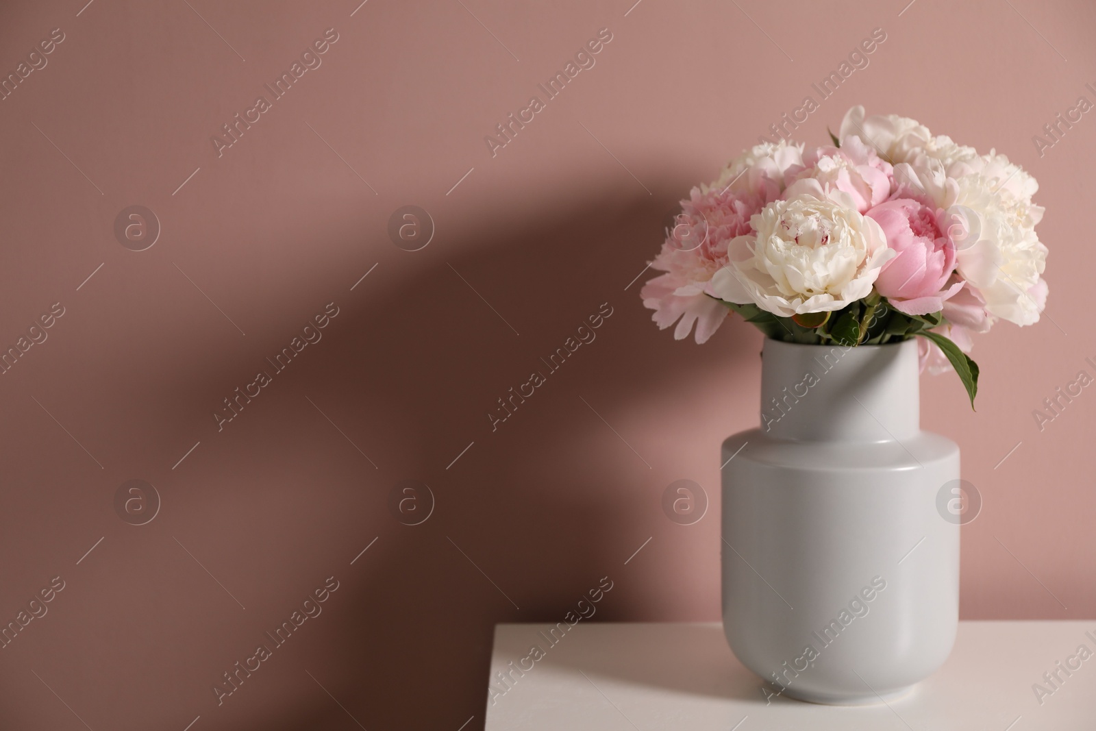 Beautiful peonies in vase on white table near pink wall. Space for text Photo of Beautiful peonies in vase on white table near pink wall. Space for text