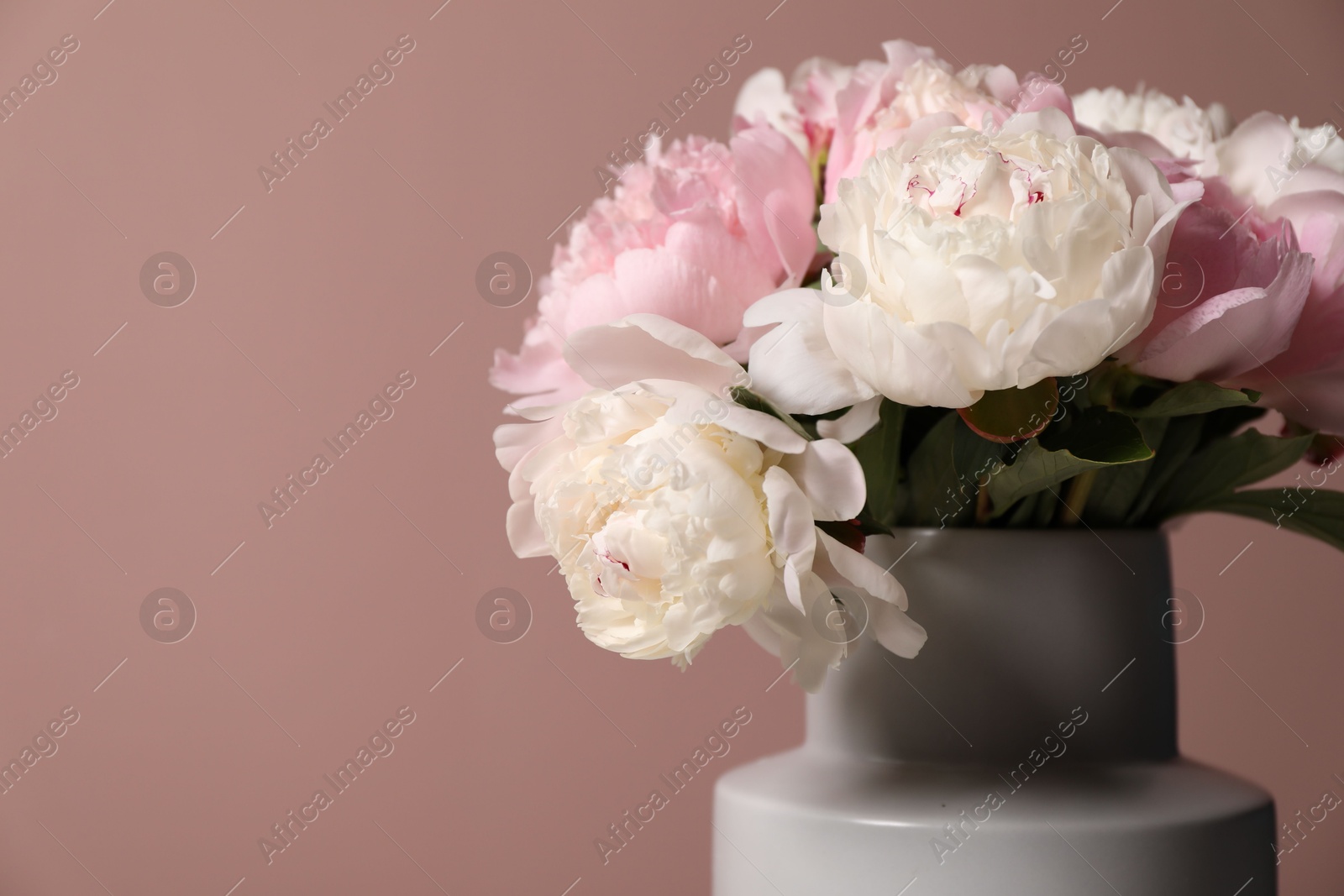 Beautiful peonies in vase near pink wall, closeup. Space for text Photo of Beautiful peonies in vase near pink wall, closeup. Space for text
