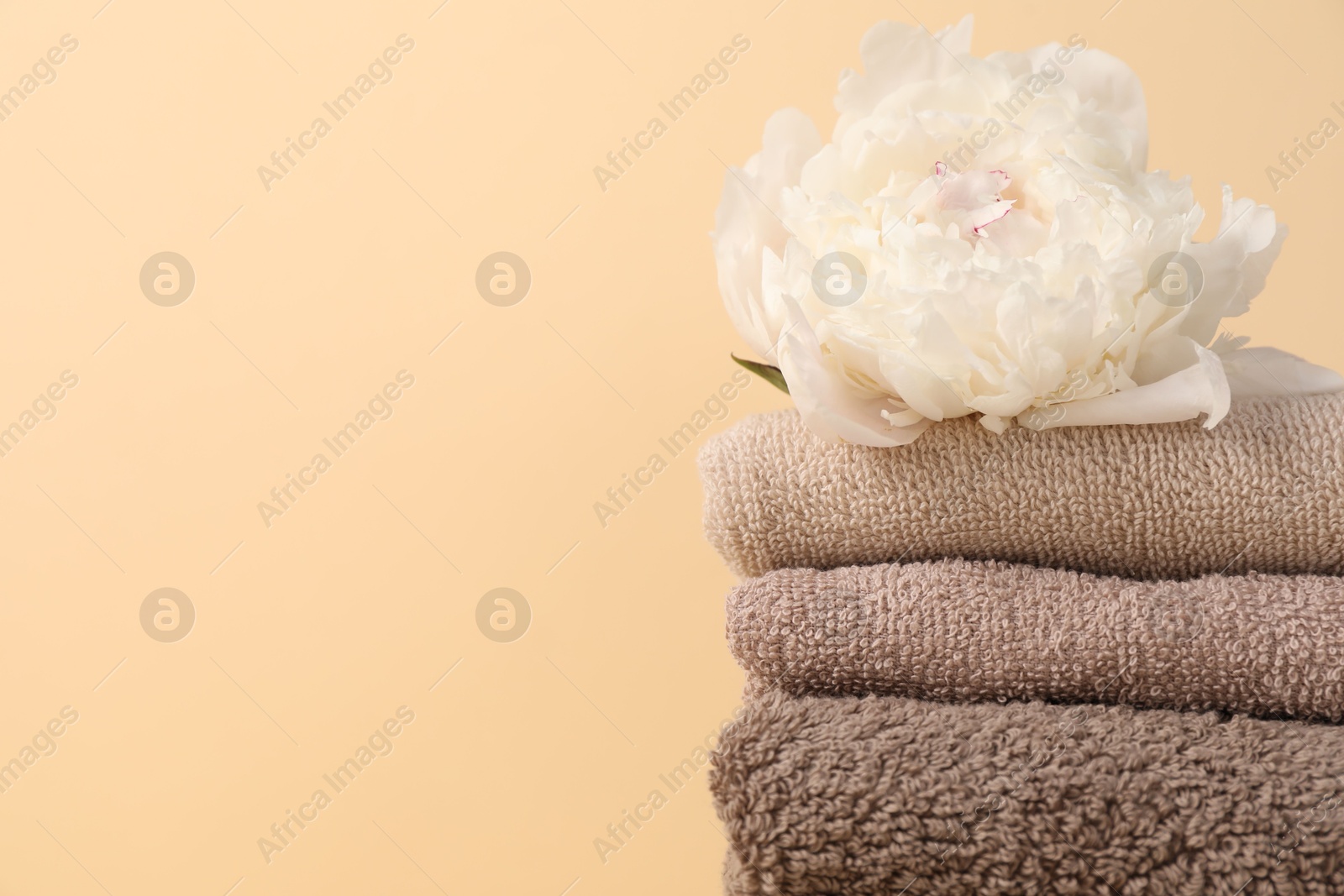 Stack of towels and peony flower on beige background, closeup. Space for text Photo of Stack of towels and peony flower on beige background, closeup. Space for text