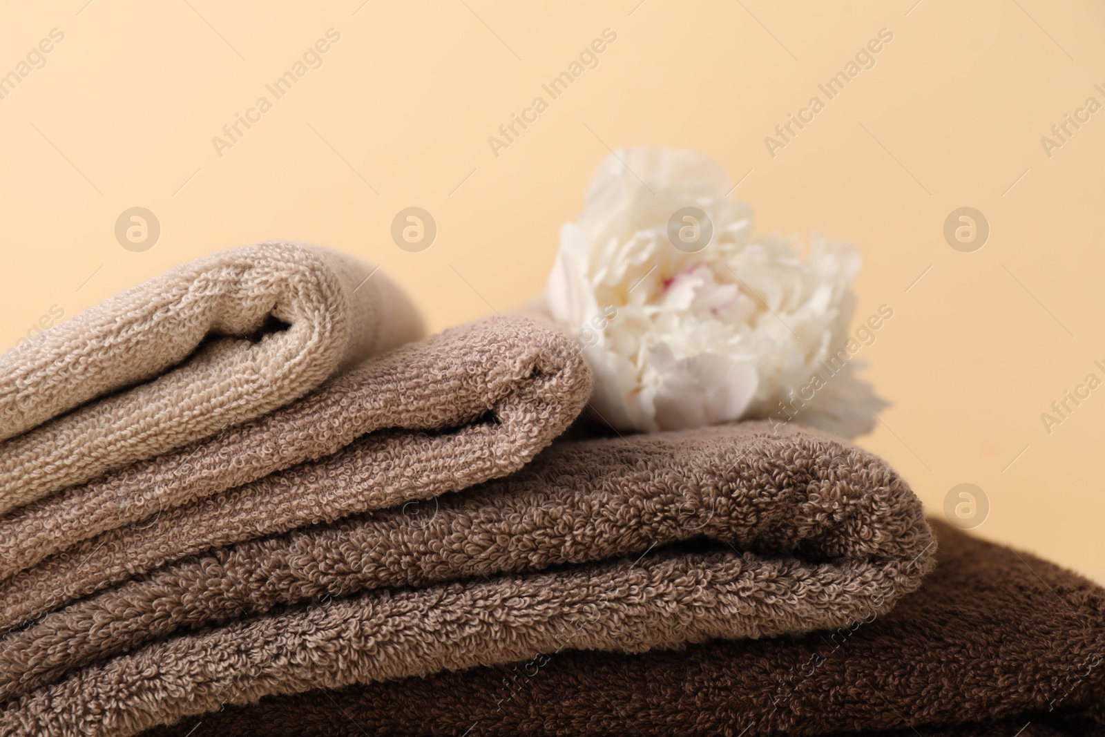 Photo of Soft towels and peony flower on beige background, closeup