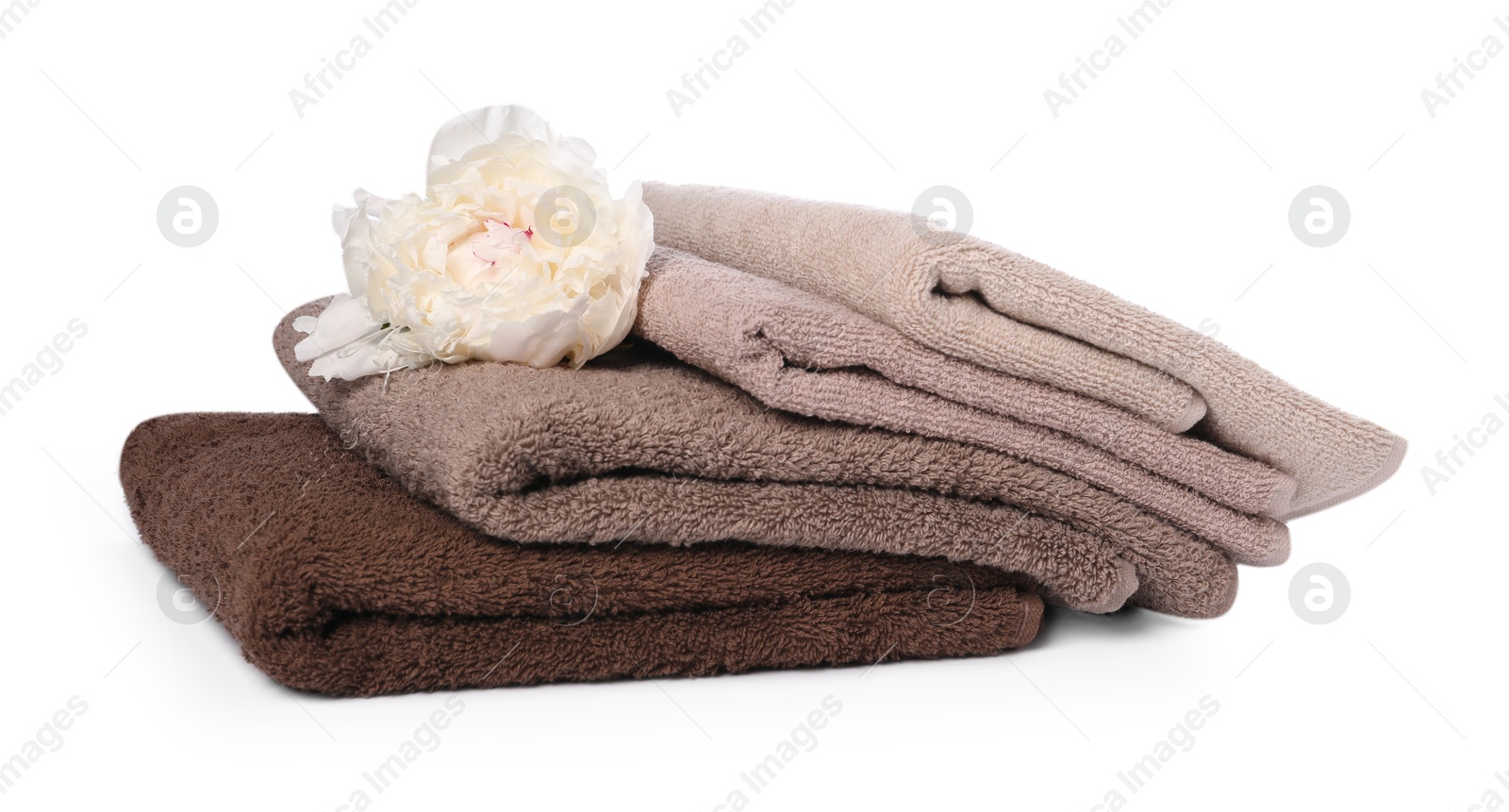 Photo of Soft towels and peony flower isolated on white