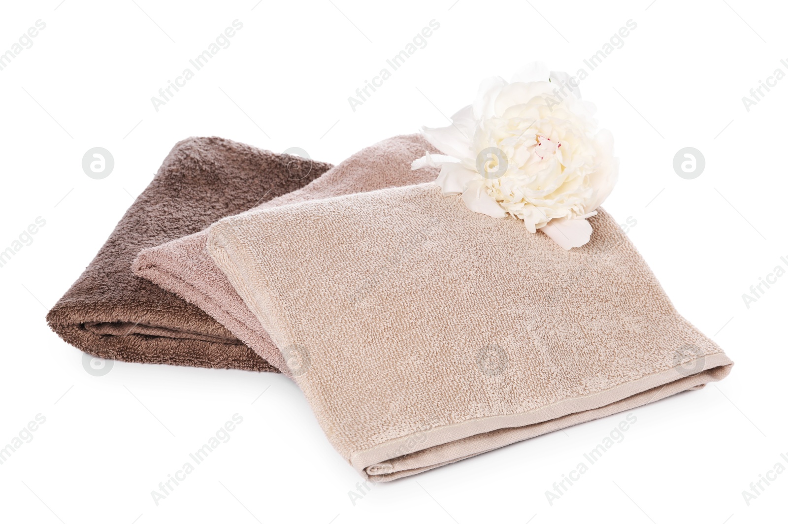 Soft towels and peony flower isolated on white Photo of Soft towels and peony flower isolated on white