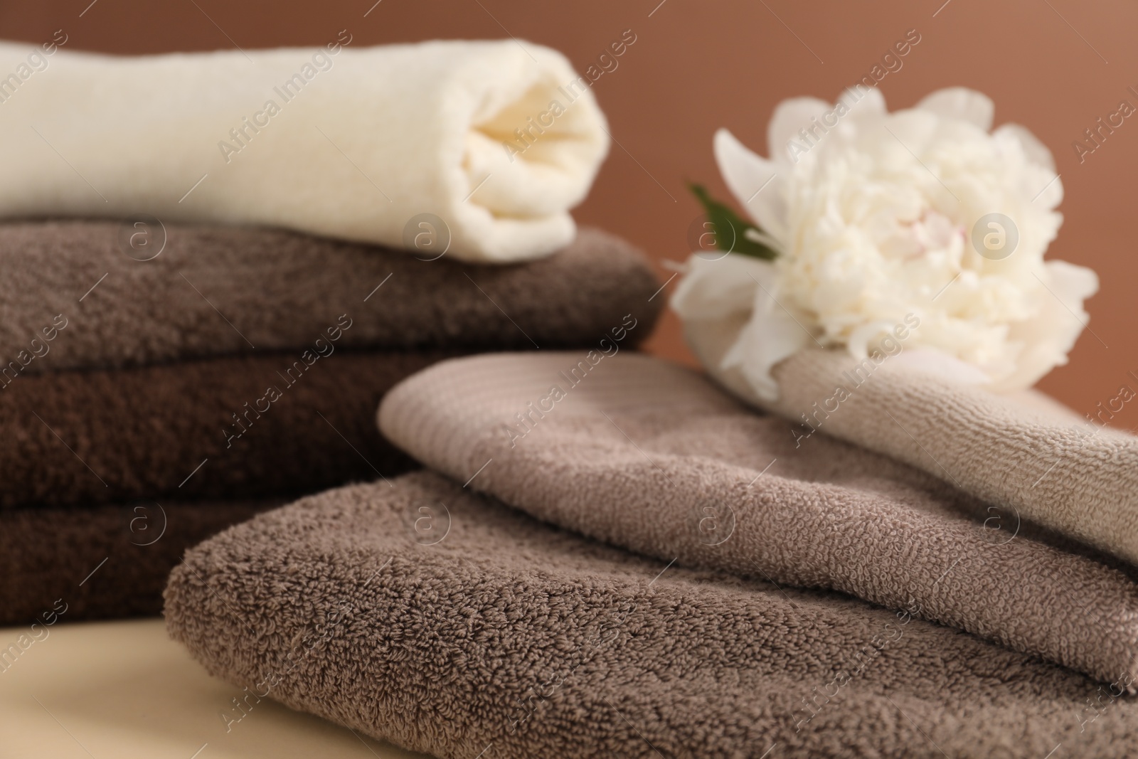 Soft towels and peony flower on beige table against brown background, closeup Photo of Soft towels and peony flower on beige table against brown background, closeup