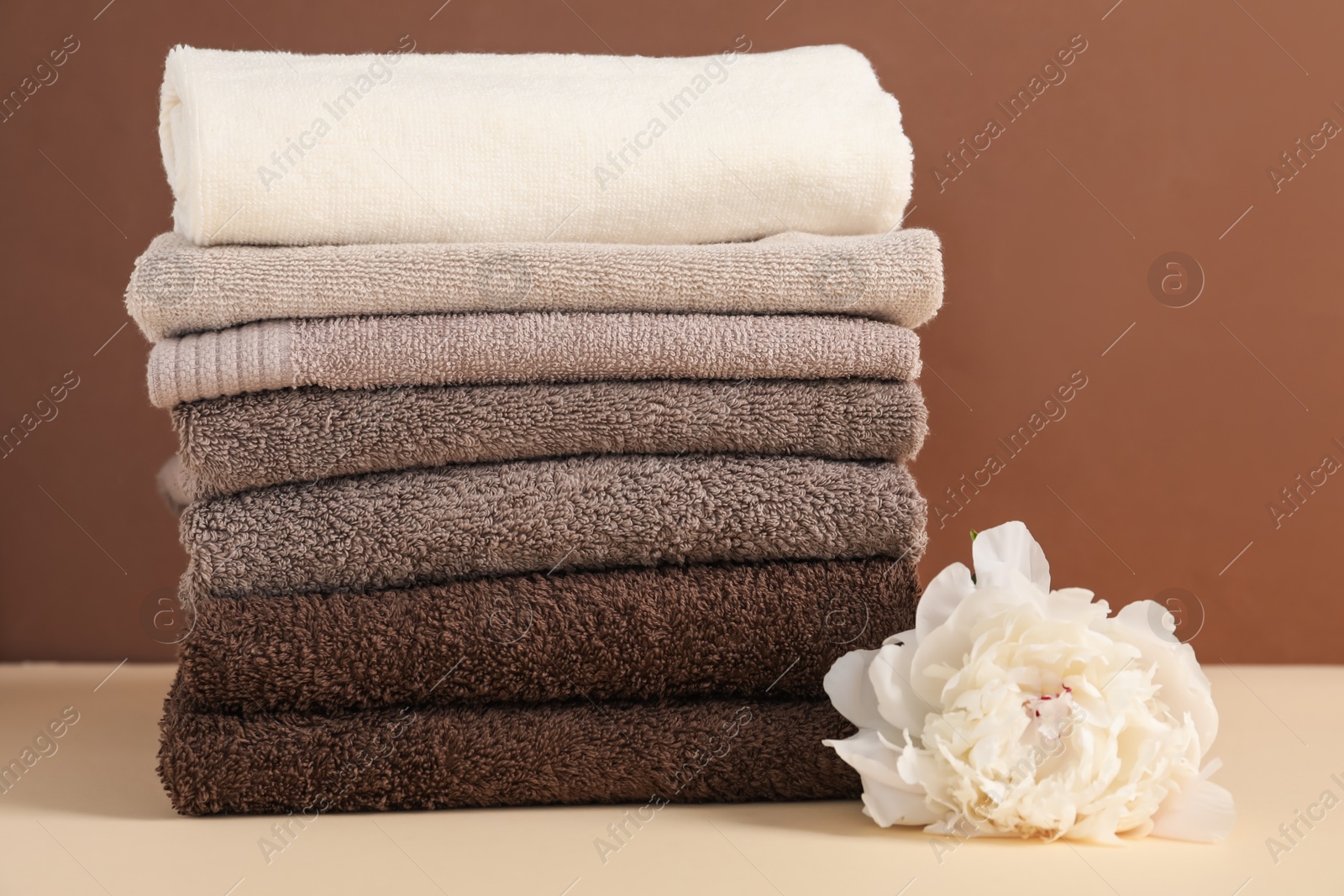 Stack of towels and peony flower on beige table against brown background Photo of Stack of towels and peony flower on beige table against brown background