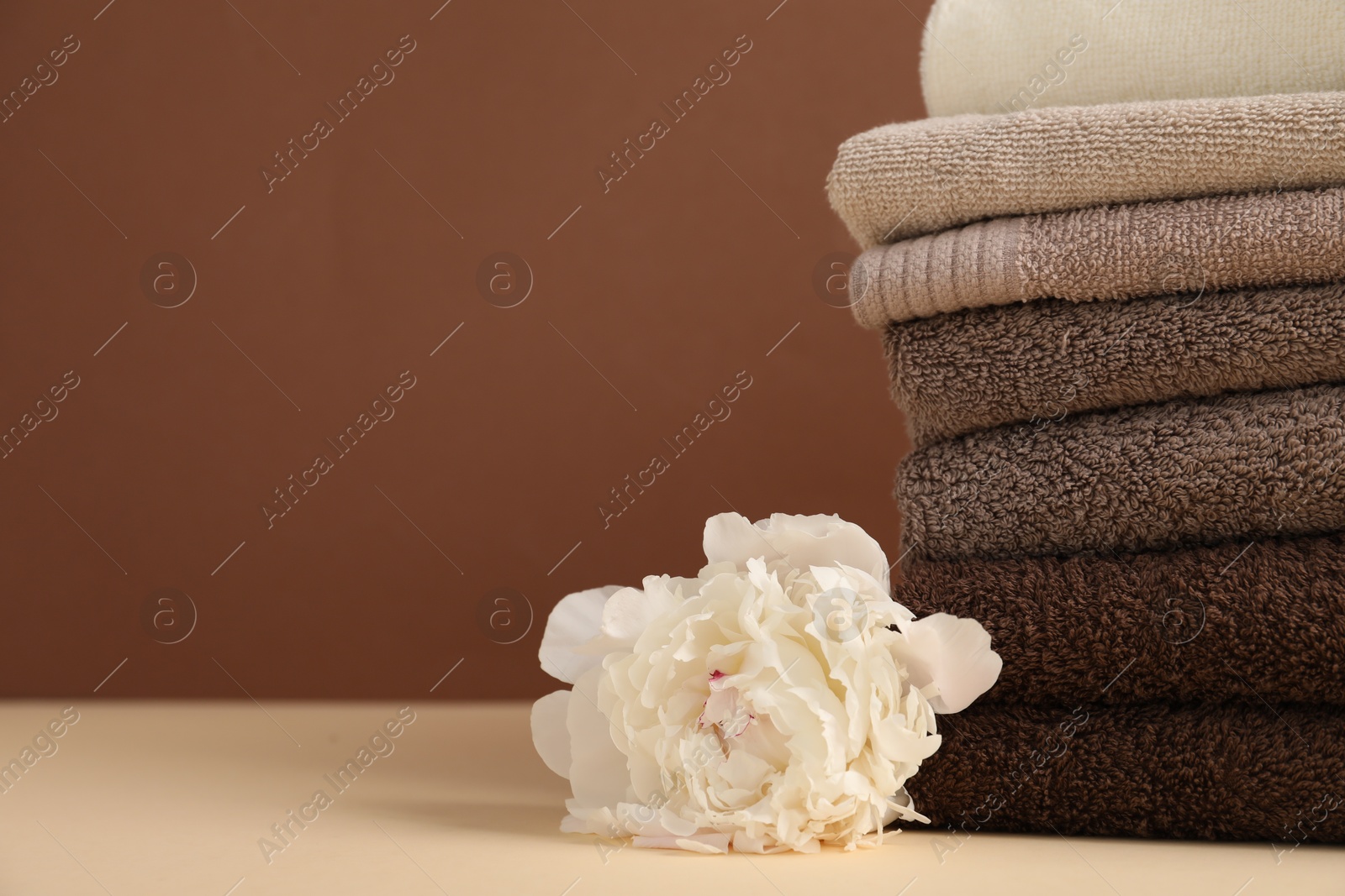 Stack of towels and peony flower on beige table against brown background, closeup. Space for text Photo of Stack of towels and peony flower on beige table against brown background, closeup. Space for text