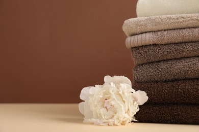Photo of Stack of towels and peony flower on beige table against brown background, closeup. Space for text