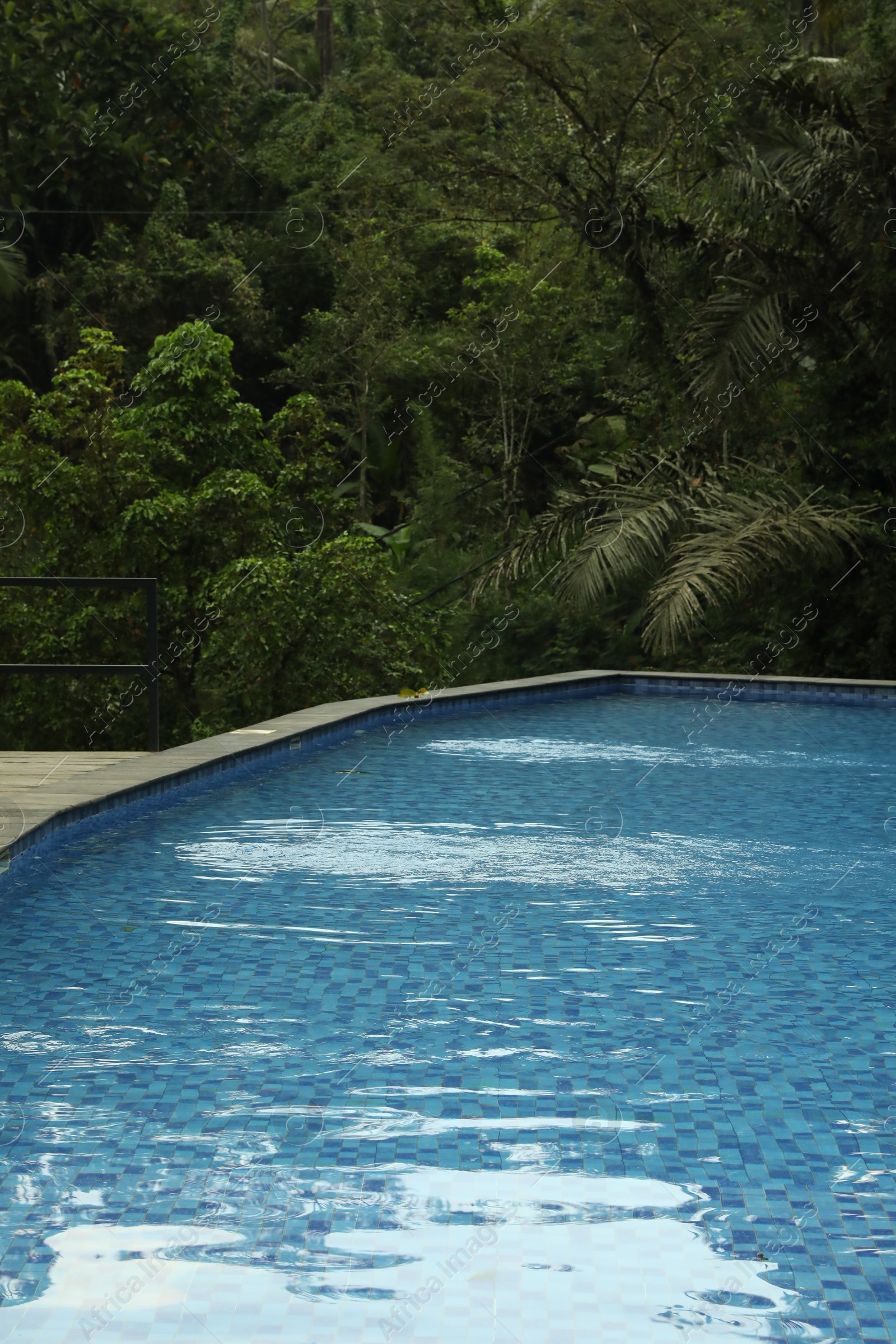 Outdoor swimming pool with clear water and green plants Photo of Outdoor swimming pool with clear water and green plants