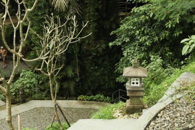 Photo of Beautiful tropical park with green plants, pathway and decor