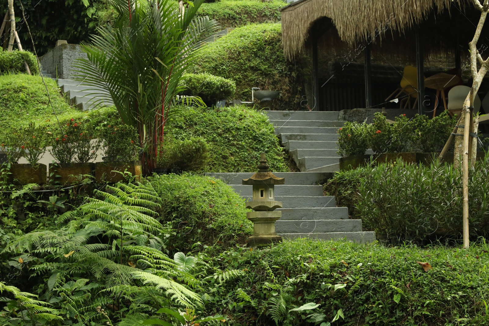Photo of Beautiful tropical park with different green plants, stairs and gazebo