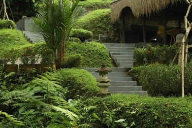 Photo of Beautiful tropical park with different green plants, stairs and gazebo