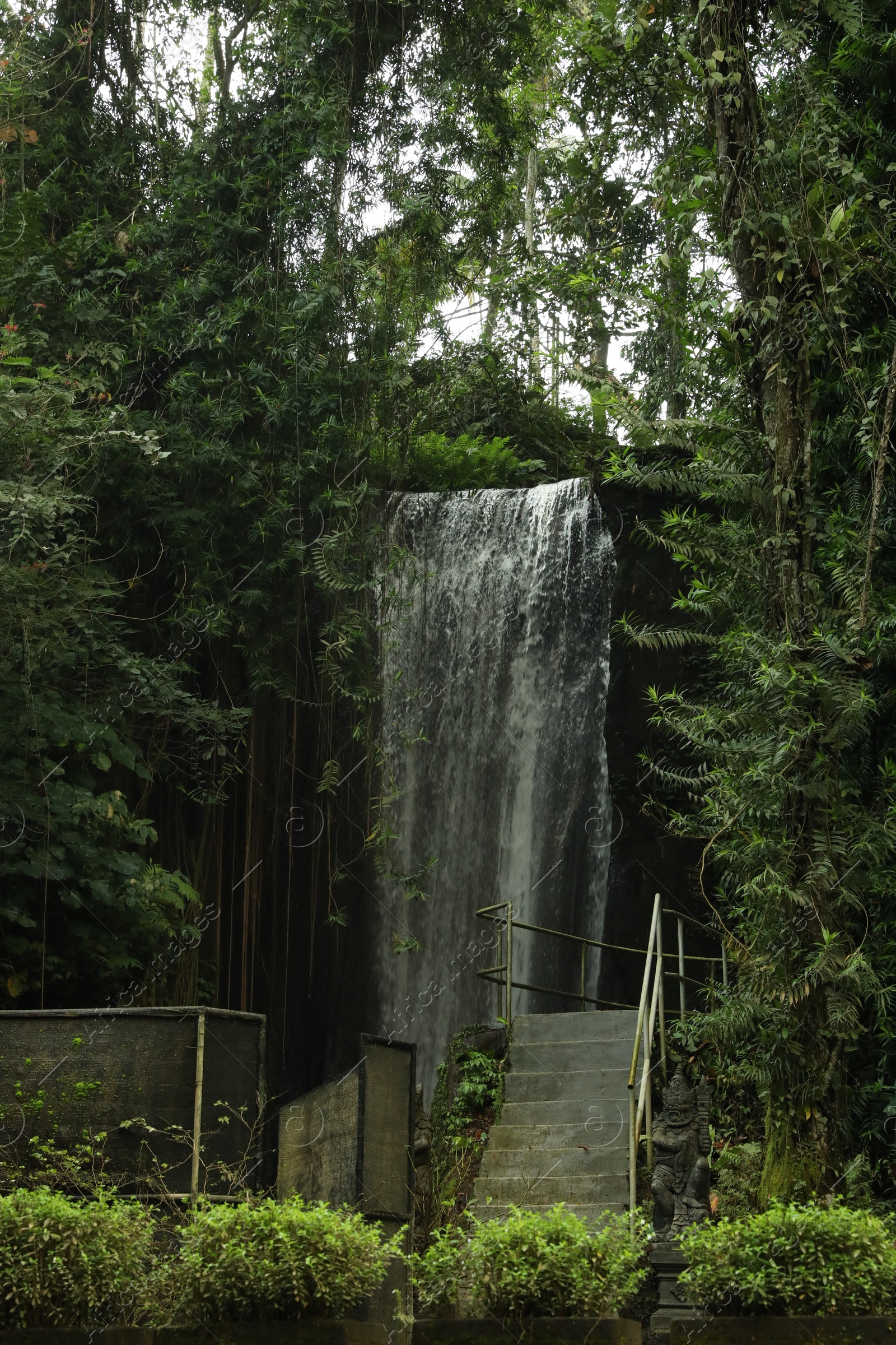 Beautiful waterfall and green plants in tropical park Photo of Beautiful waterfall and green plants in tropical park