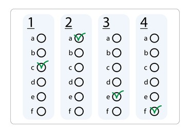 Illustration of Online test form with checkboxes and some ticks on white background