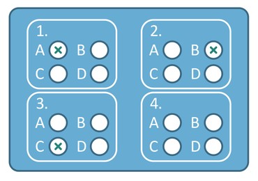 Illustration of Online test form with checkboxes and some ticks on white background