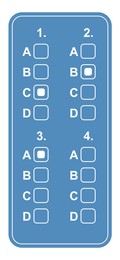 Illustration of Online test form with checkboxes and some ticks on white background