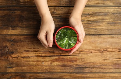 Image of Woman holding cup with green trees inside at wooden table, top view