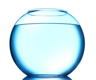 Photo of Glass aquarium with water isolated on white