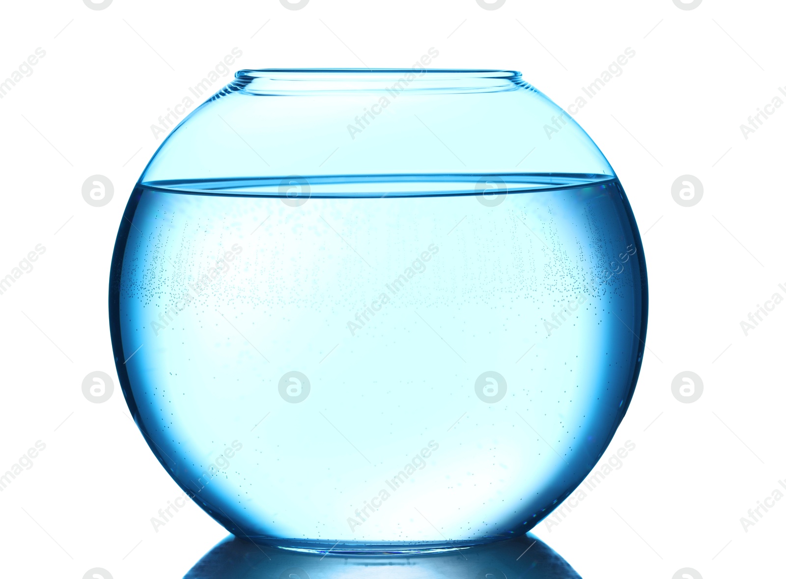 Glass aquarium with water isolated on white Photo of Glass aquarium with water isolated on white