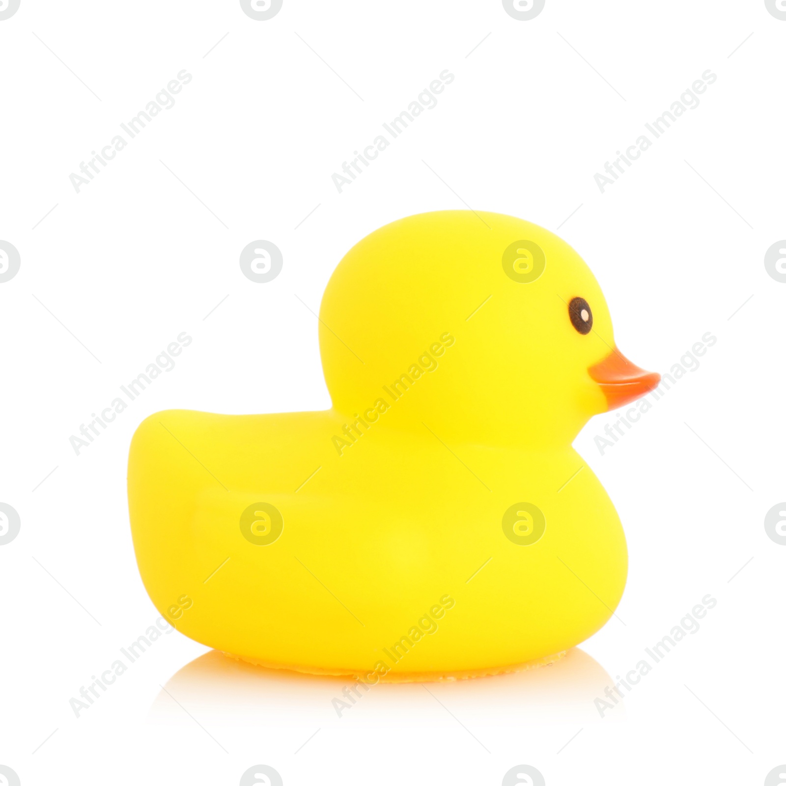 One cute rubber duck on mirror surface against white background Photo of One cute rubber duck on mirror surface against white background