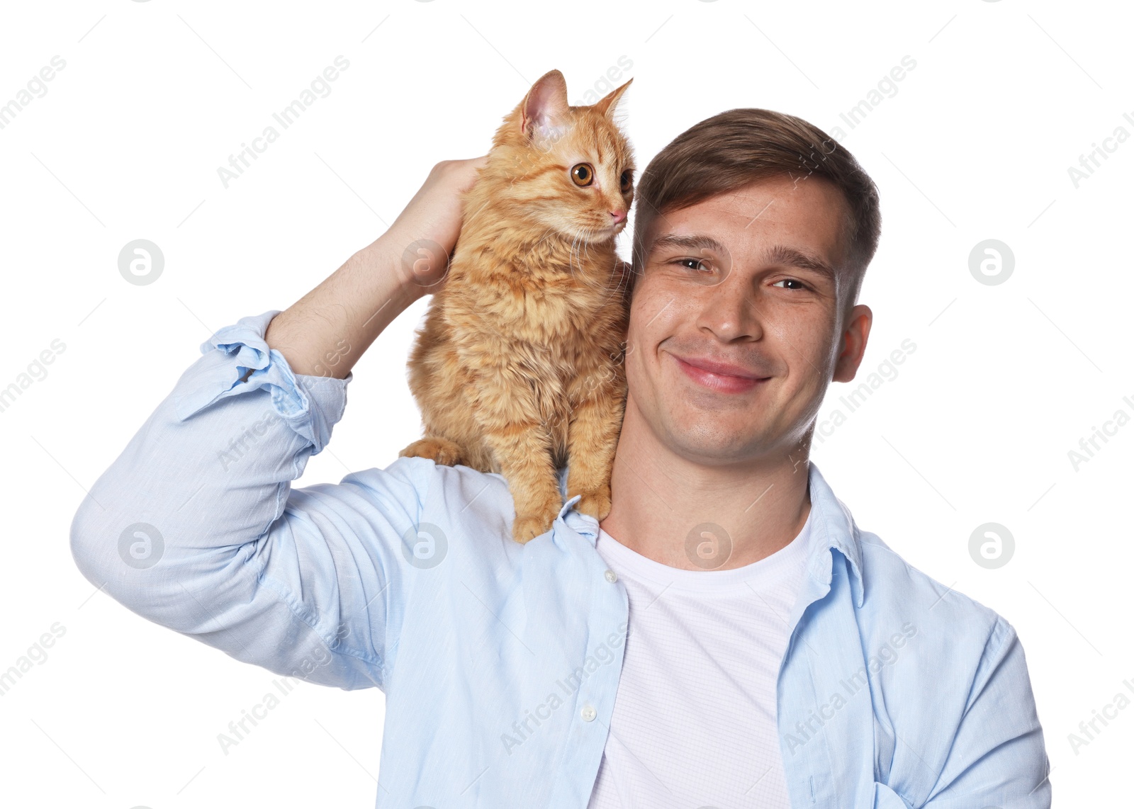 Man with cute ginger cat on white background Photo of Man with cute ginger cat on white background