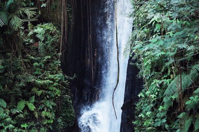 Photo of Beautiful waterfall, green plants and lianas in tropical forest